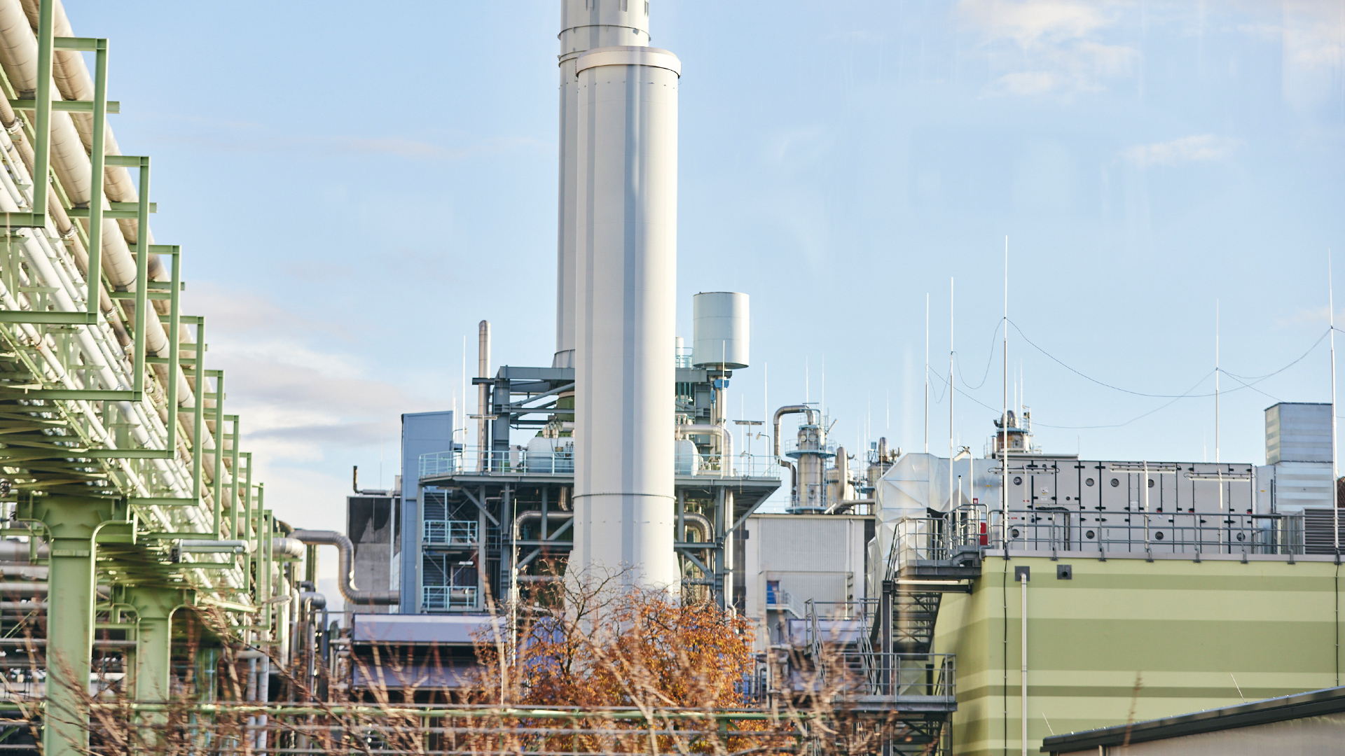 Eine Industrieanlage mit vielen Rohren, im Vordergrund ist ein Busch