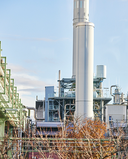 Eine Industrieanlage mit vielen Rohren, im Vordergrund ist ein Busch